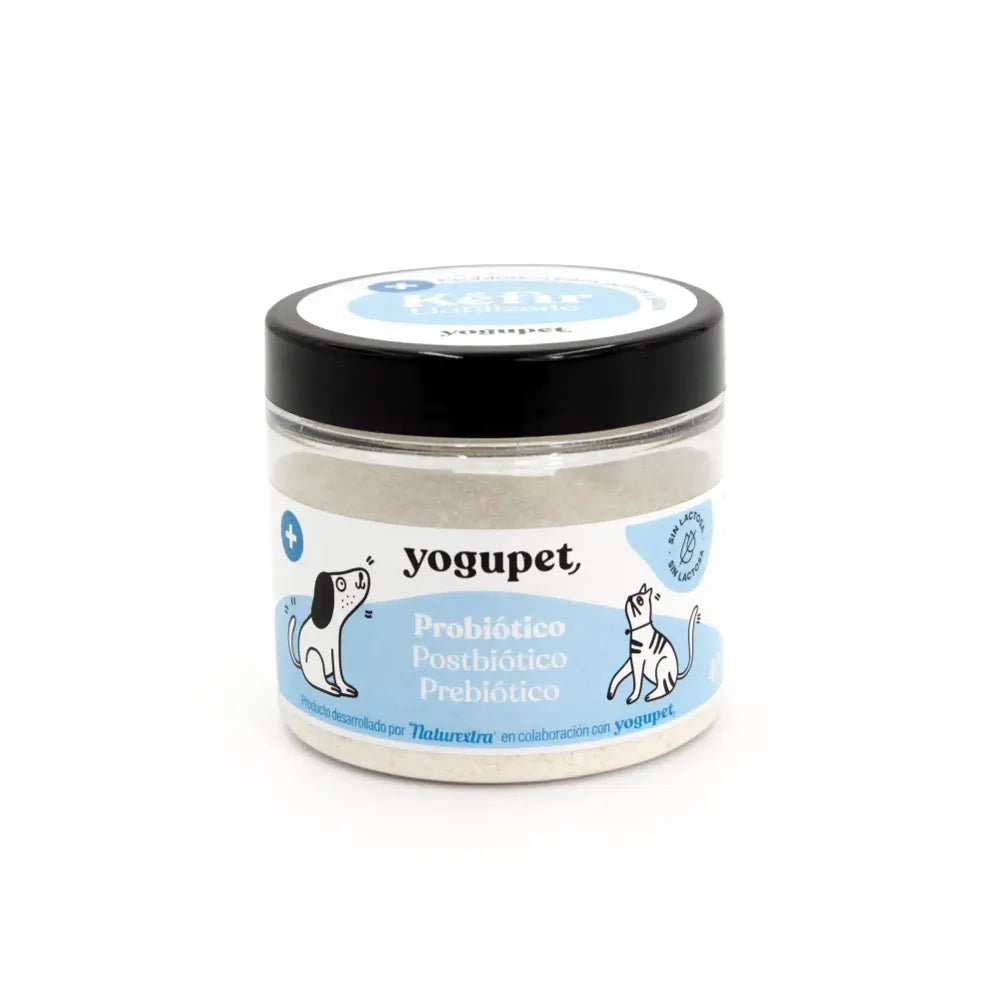 Kéfir lyophilisé aux probiotiques – Yogupet – DDM dépassée – Les Disgracieux®