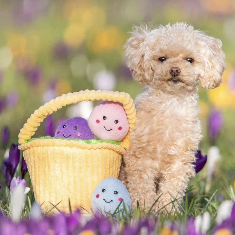 peluche de flair panier de paques zippypaws