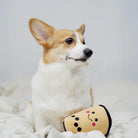 peluche de flair bubble milk tea pour chien