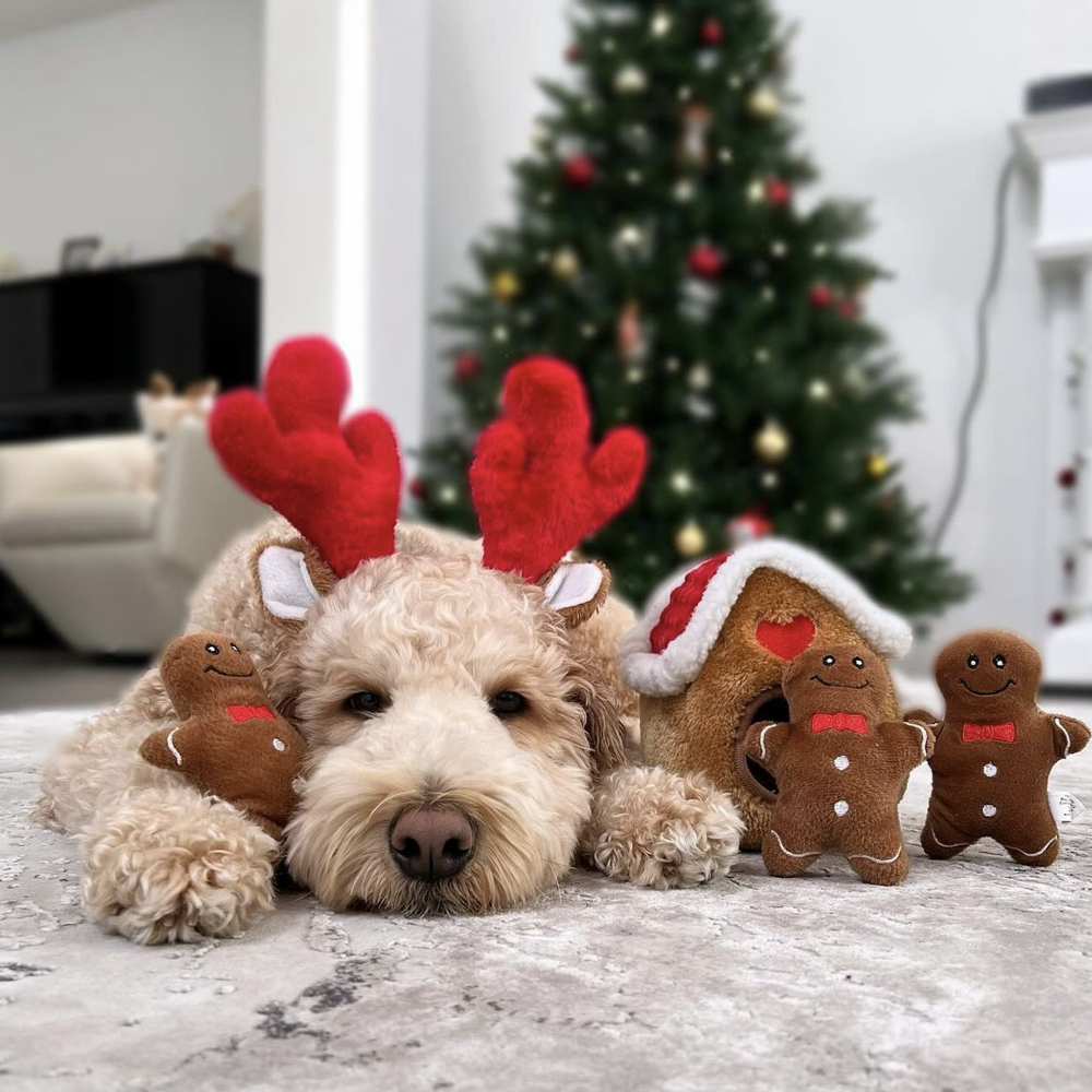 peluche de flair gingerbread house