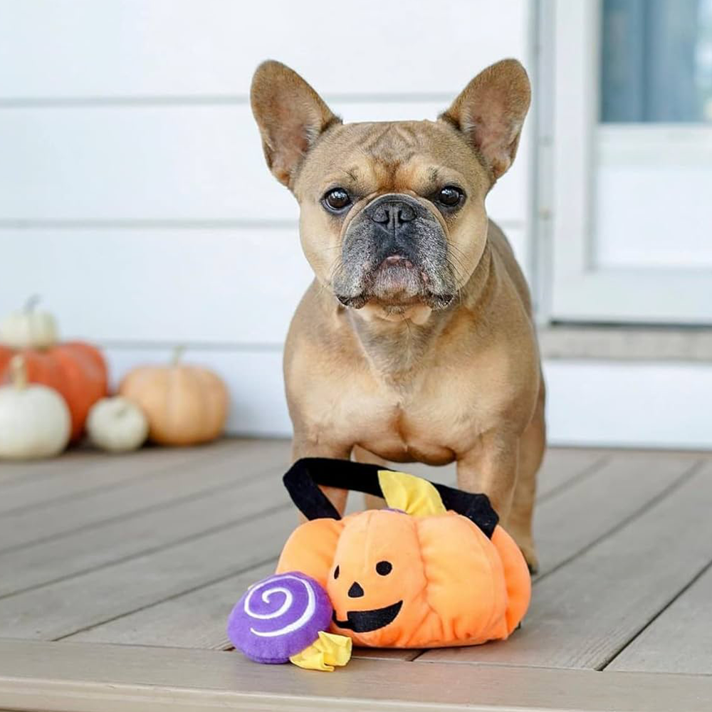 peluche de flair halloween pour chien trick or treat