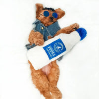 Peluche Vodka pour chien 🍸 – Happy Hour Crusherz – ZippyPaws