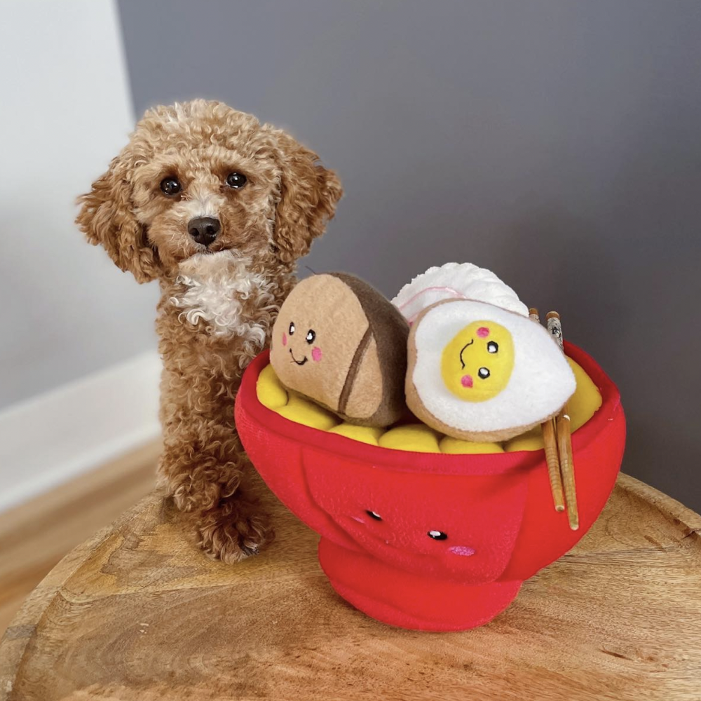 peluche de flair bol a ramen pour chien