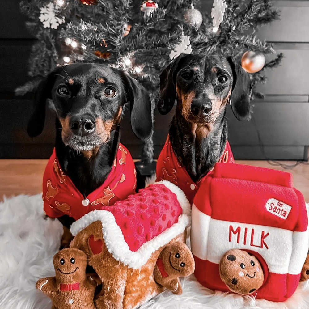 peluche de flair pour chien maison de pain d'épices