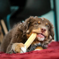 Gourmet dog chew – Cheese bone – Cheese bar