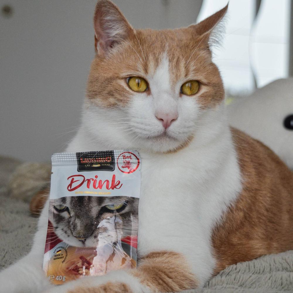 boisson pour chat bouillon de viande drink