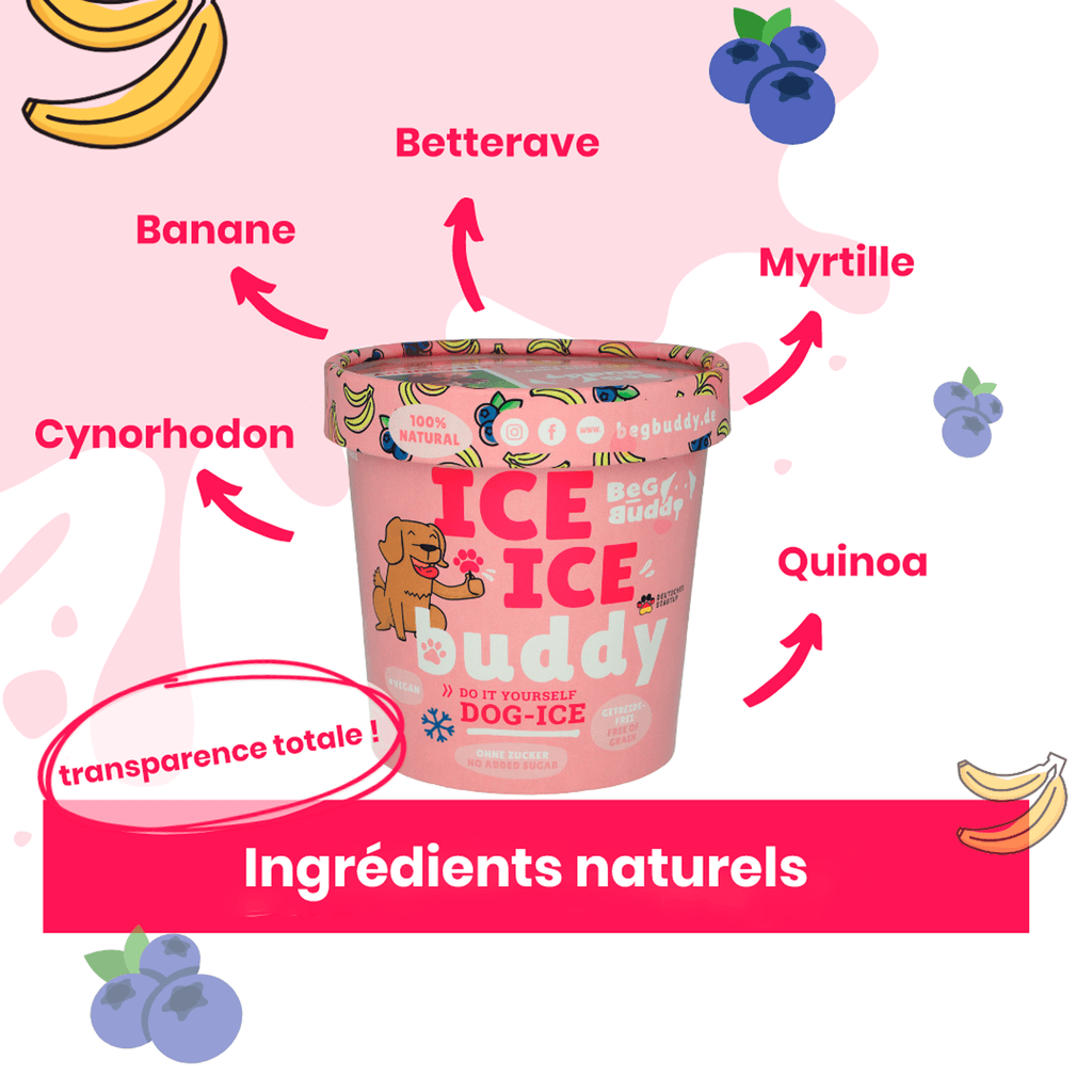 glace pour chiens banane myrtille