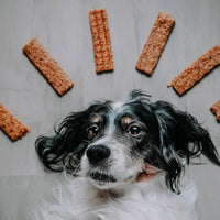 lanières de viande pour chiens