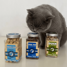 Kiw Walker Duck pour chat