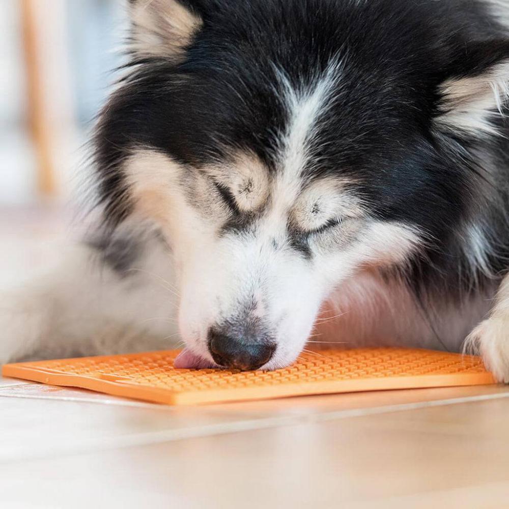 lickimat classic playdate pour chiens