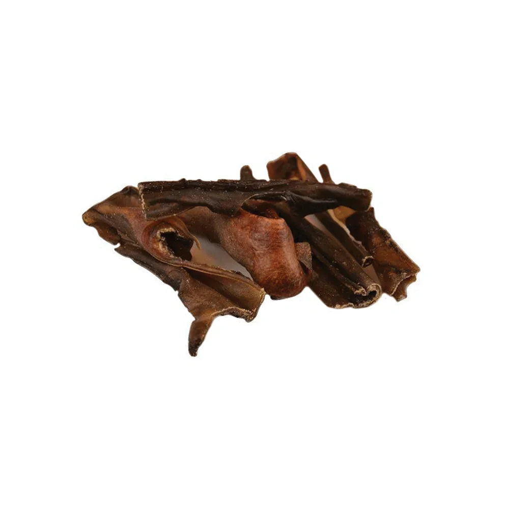 peau de chameau pour chien