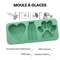 kit de glace pour chien