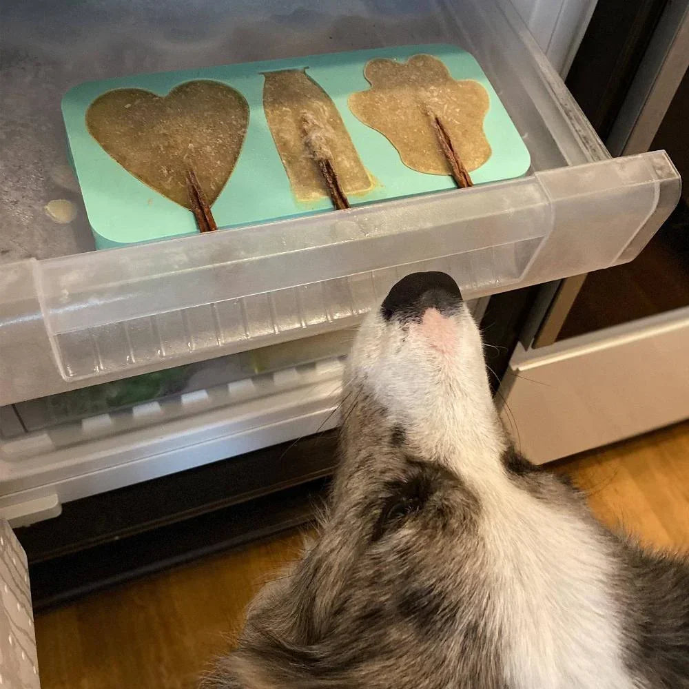 kit à glace chiens