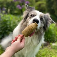 smoofl pour chien
