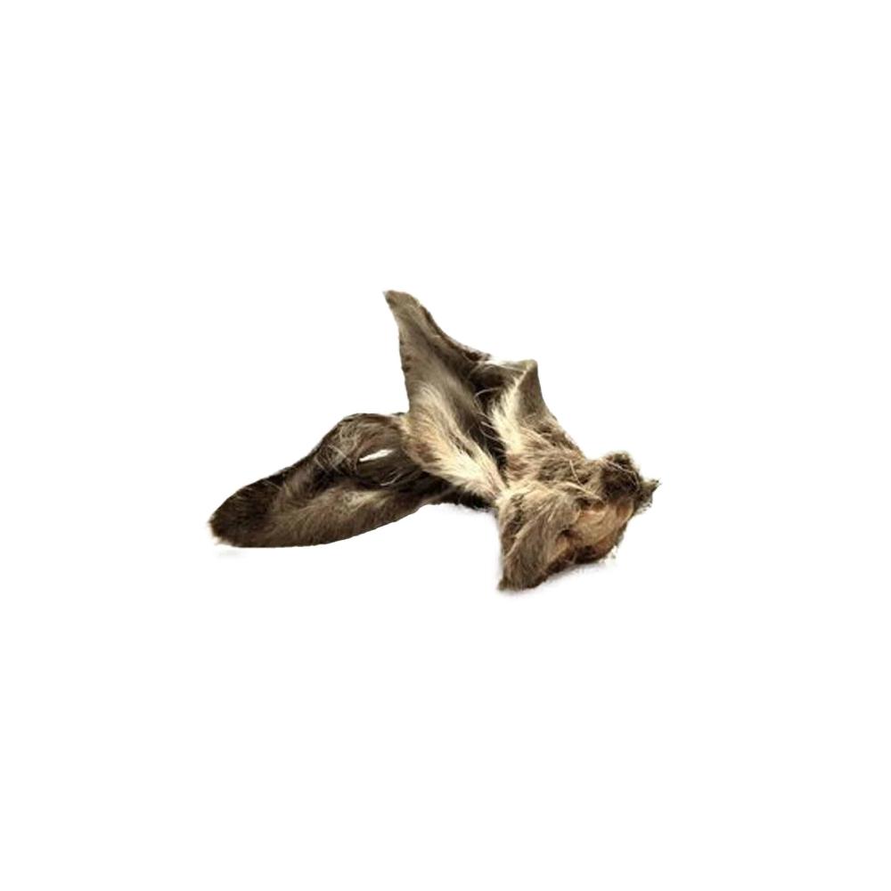 oreilles de cerf avec poils