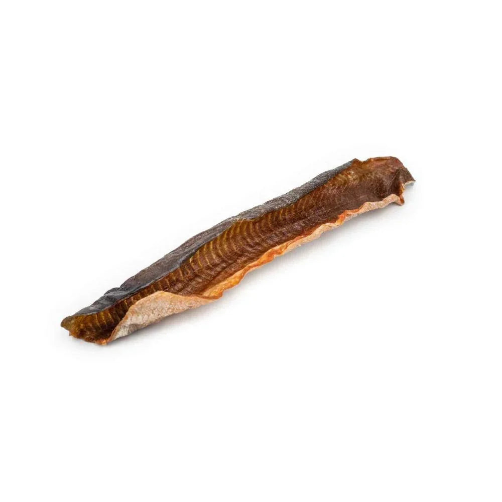 saumon sauvage pour chien