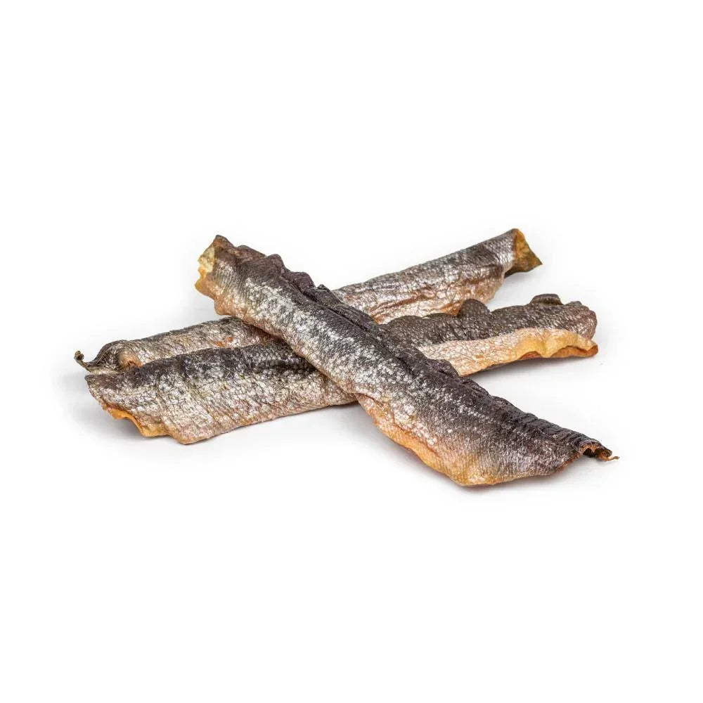 peaux de saumon pour chien