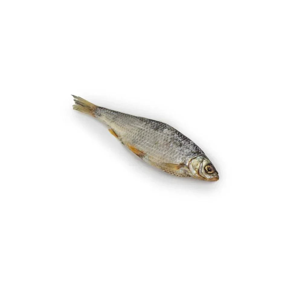 petit poisson séché pour chiens