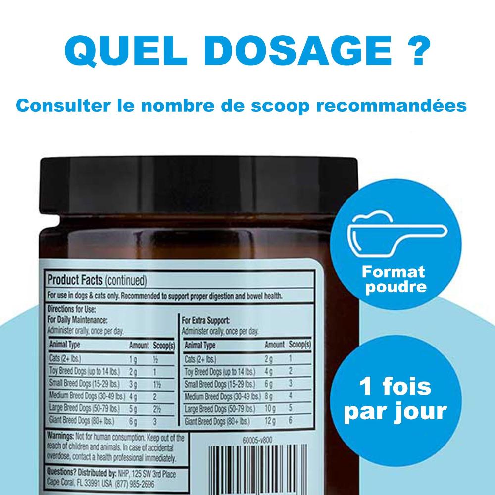 probiotiques pour chien et chat dosage