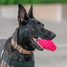 Jouet à remplir Grenade – Puppy - aPETite Store