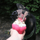 Jouet à remplir Cupcake - aPETite Store