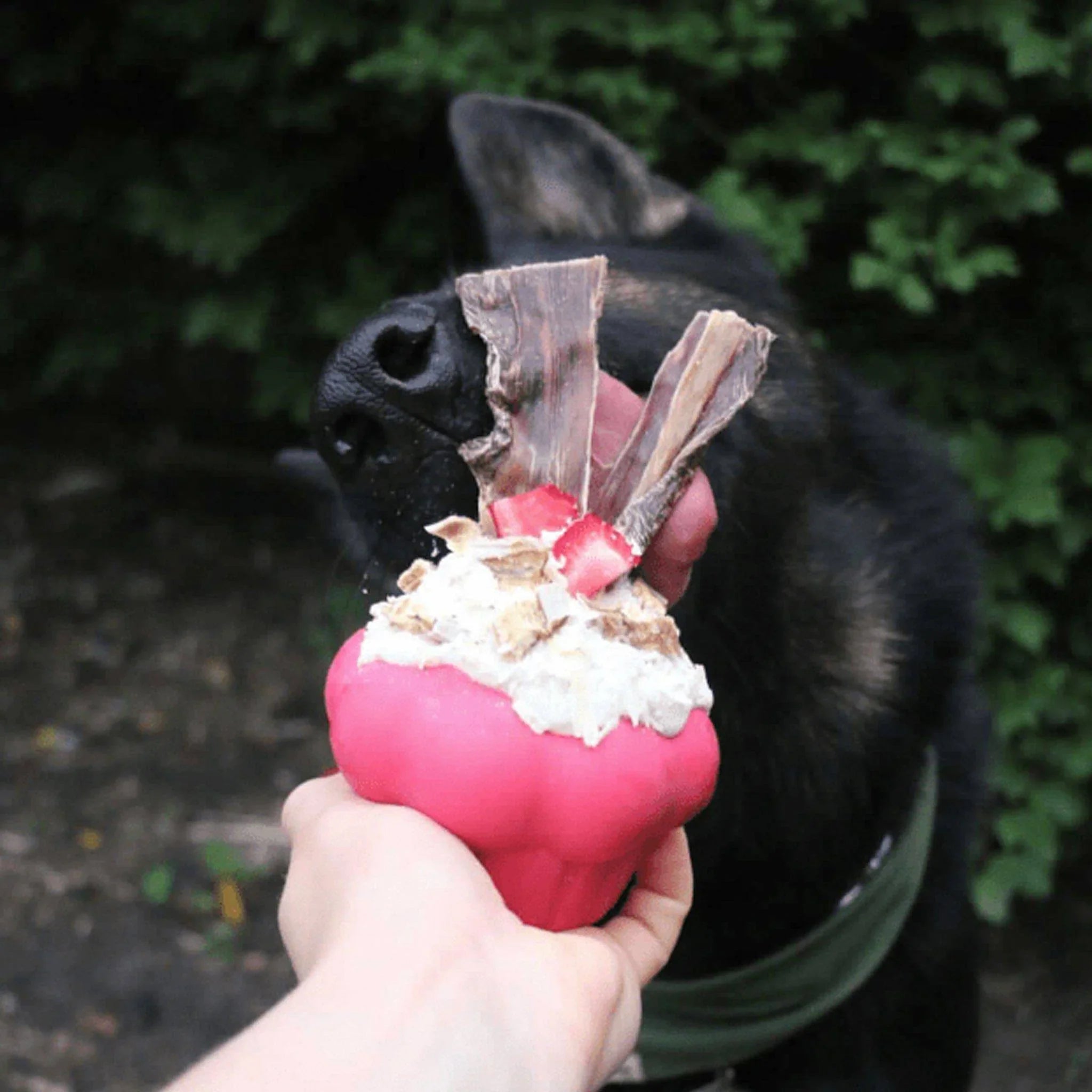 Jouet à remplir Cupcake - aPETite Store