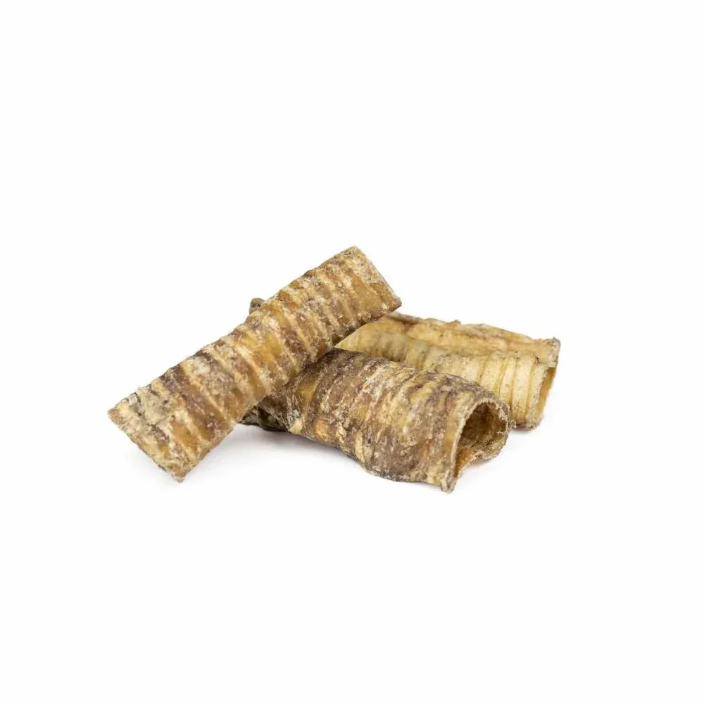 Trachée de chameau – 100g - aPETite Store