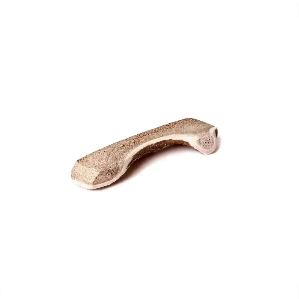 Bois de cerf biseau – Chiot et Spécial tartre - aPETite Store