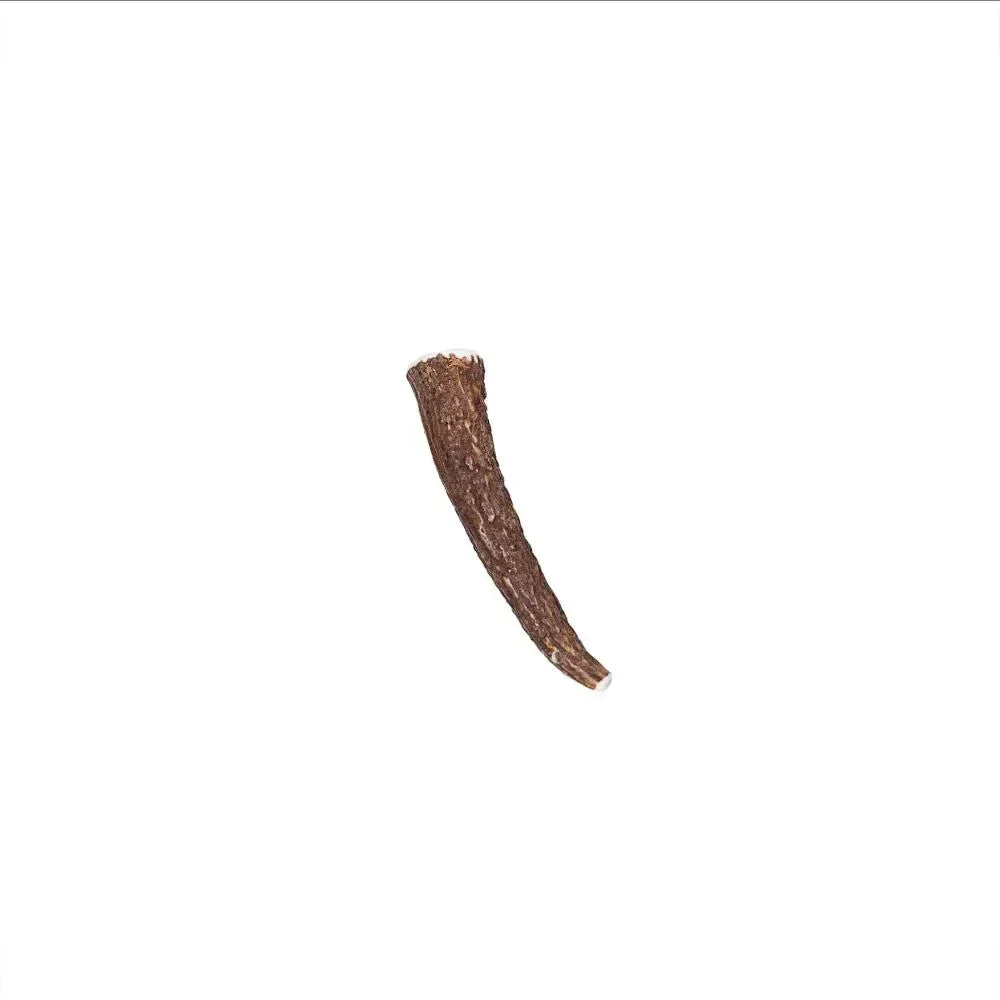 Bois de cerf entier - aPETite Store