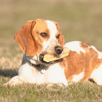 fromage de yak pour chiens