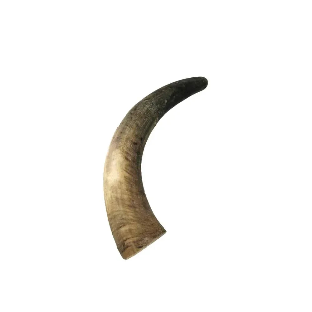 Corne de boeuf - aPETite Store