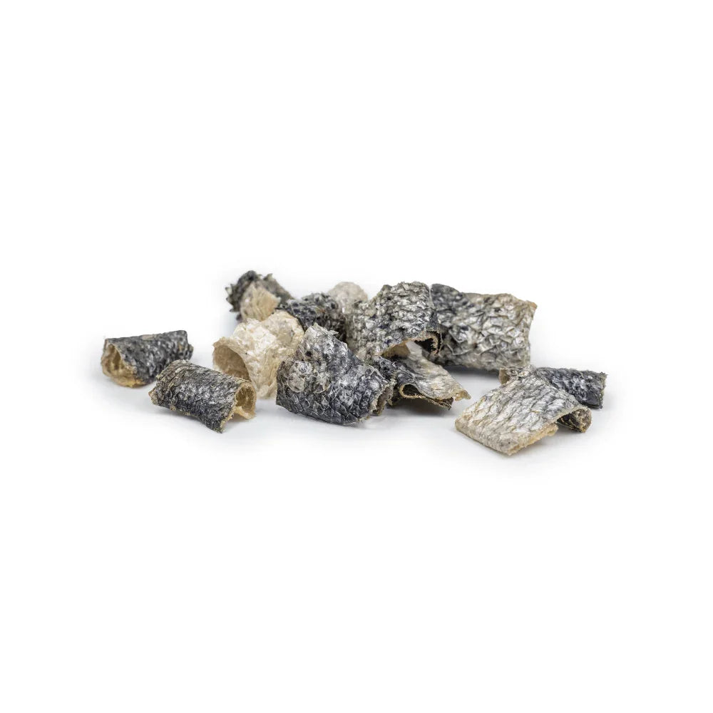 peau de saumon pour chien