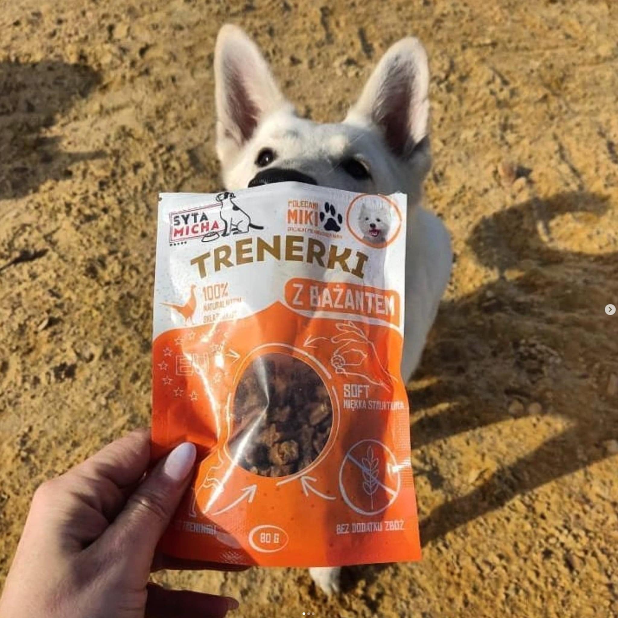 friandises de dressage pour chien