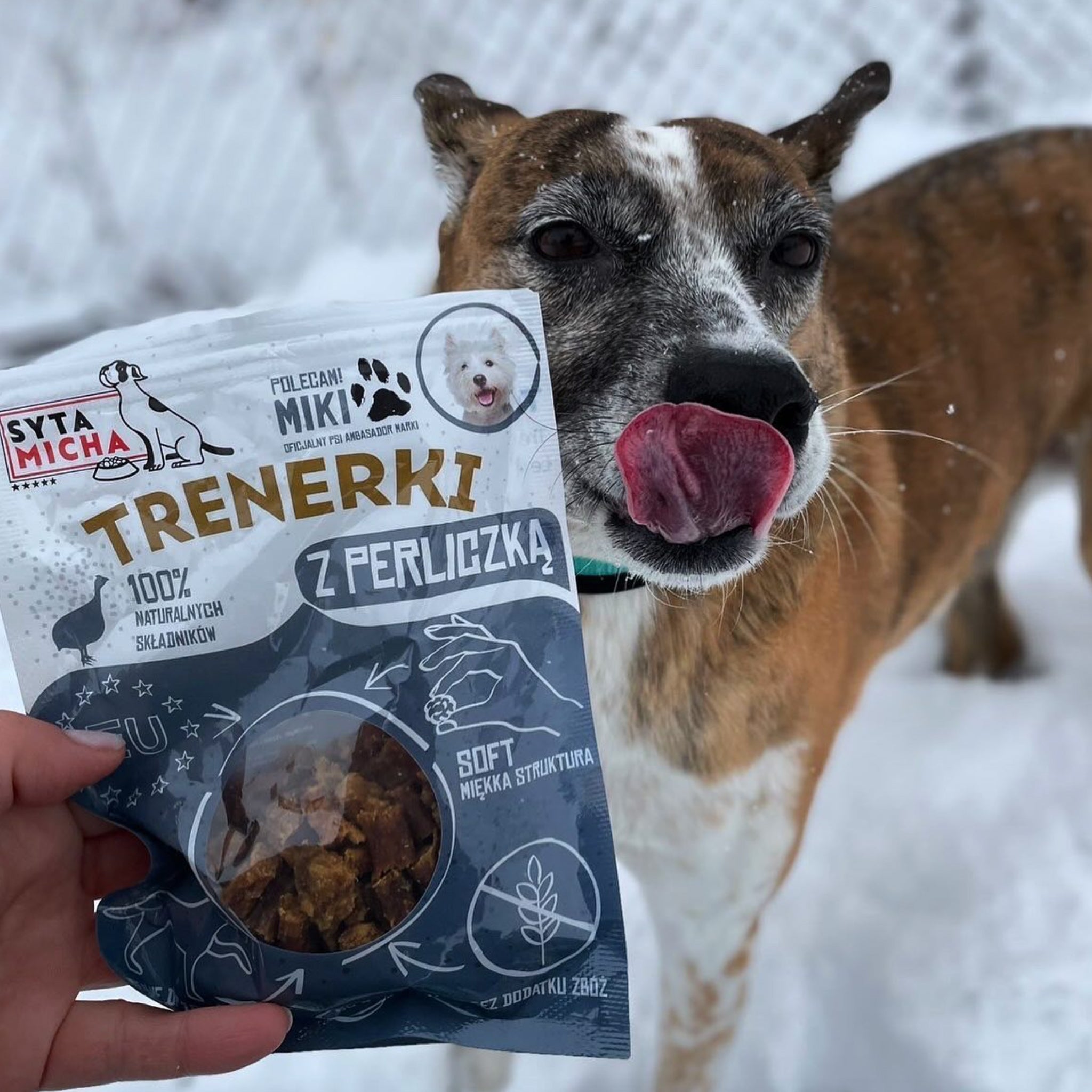friandises de travail pour chiens