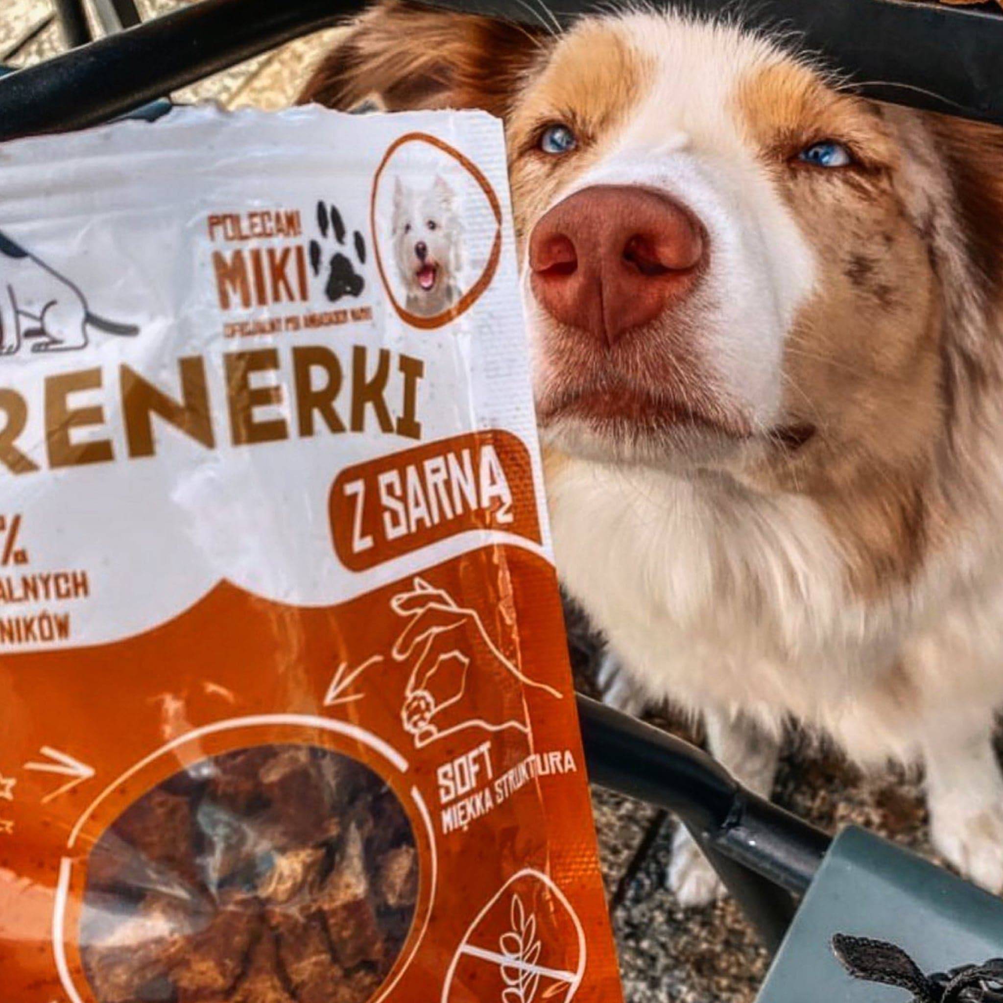 friandises d'éducation pour chien