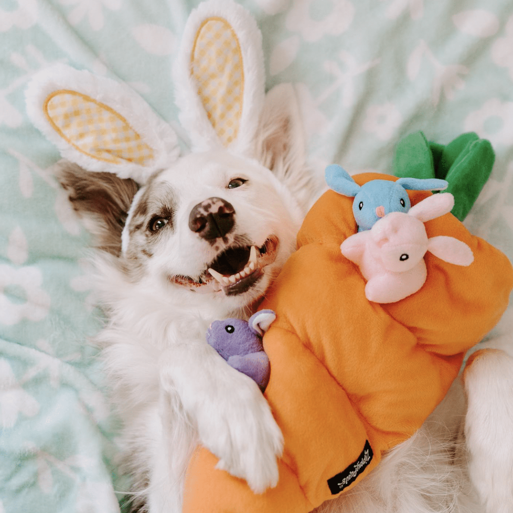 jouet carotte de paques