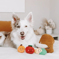 jouet de fouille pour chien corne