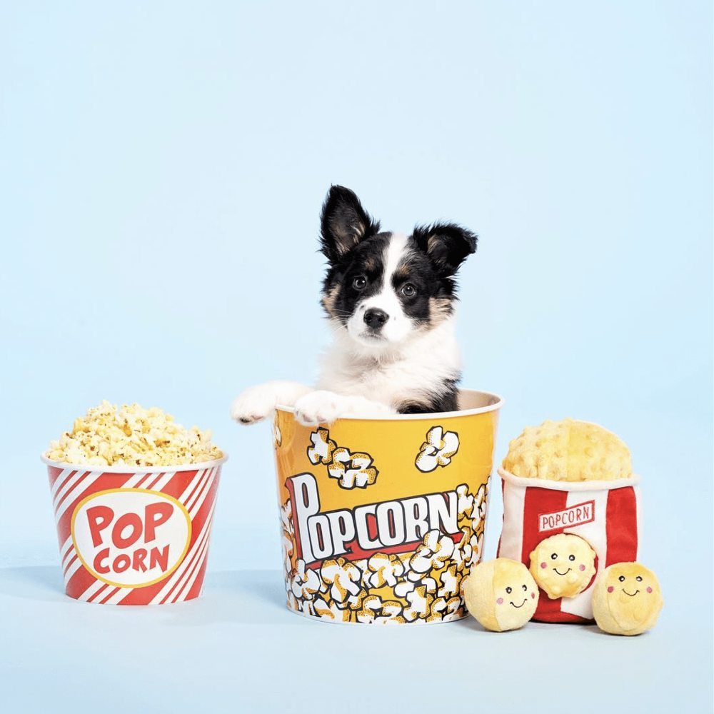jouet pour chien popcorn peluche