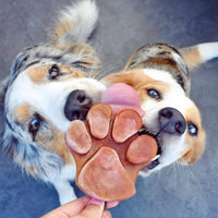 glace pour chien zoomalia