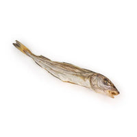 Merlan – Mastication gourmande pour chiens