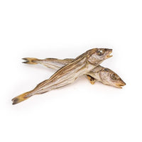 Merlan – Mastication gourmande pour chiens