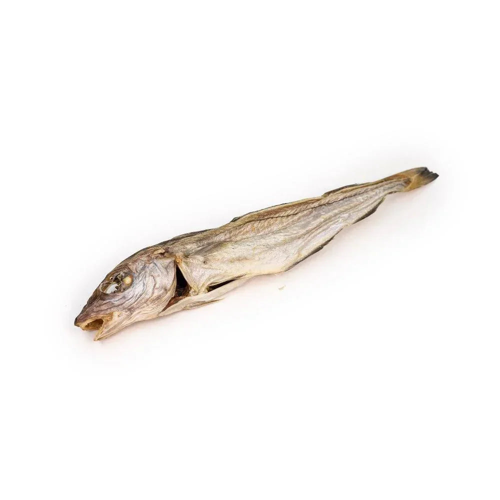 Merlan – Mastication gourmande pour chiens