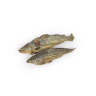 mini saumon chiens