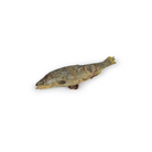 mini saumon