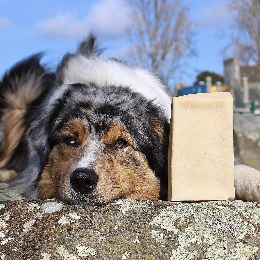 pain au fromage pour chien