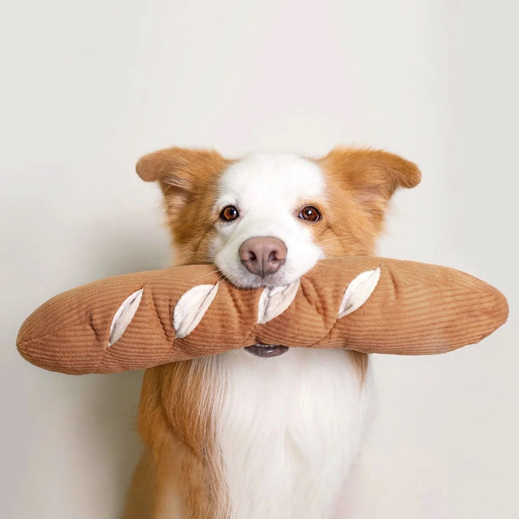 peluche de flair pour chien baguette