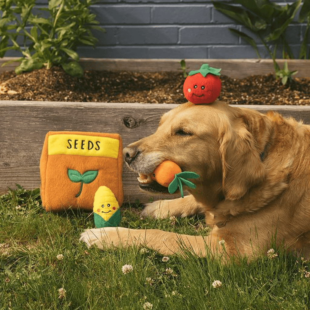 peluche de flair seeds sac graine zippy paws