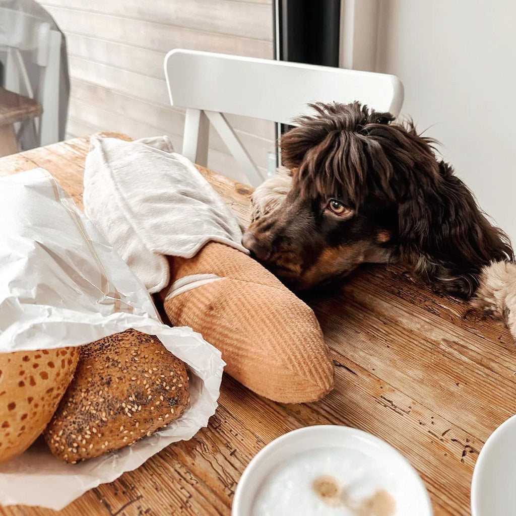 peluche de fouille baguette