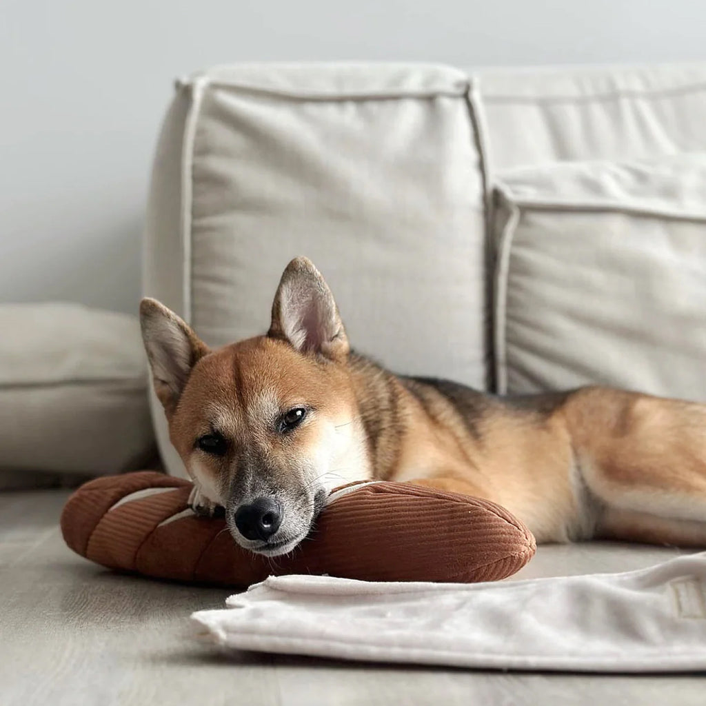 peluche de fouille pour chien baguette