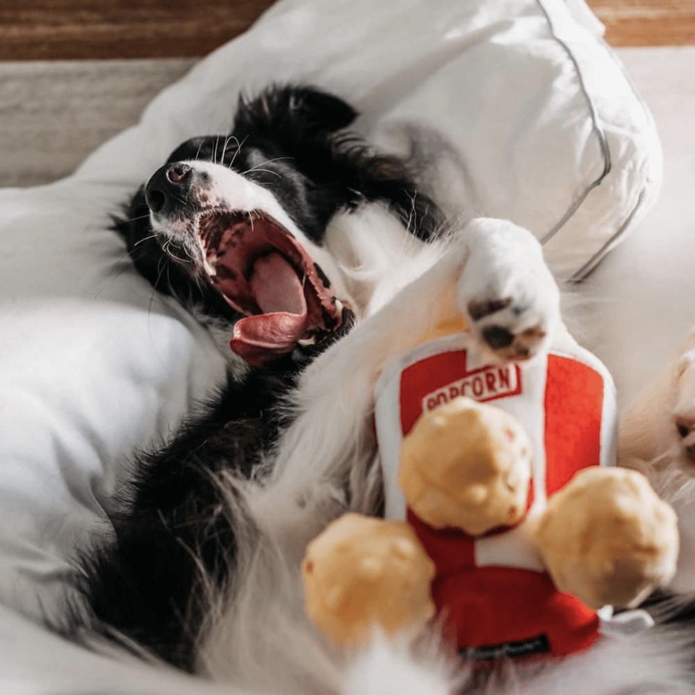 peluche pour chien pop corn